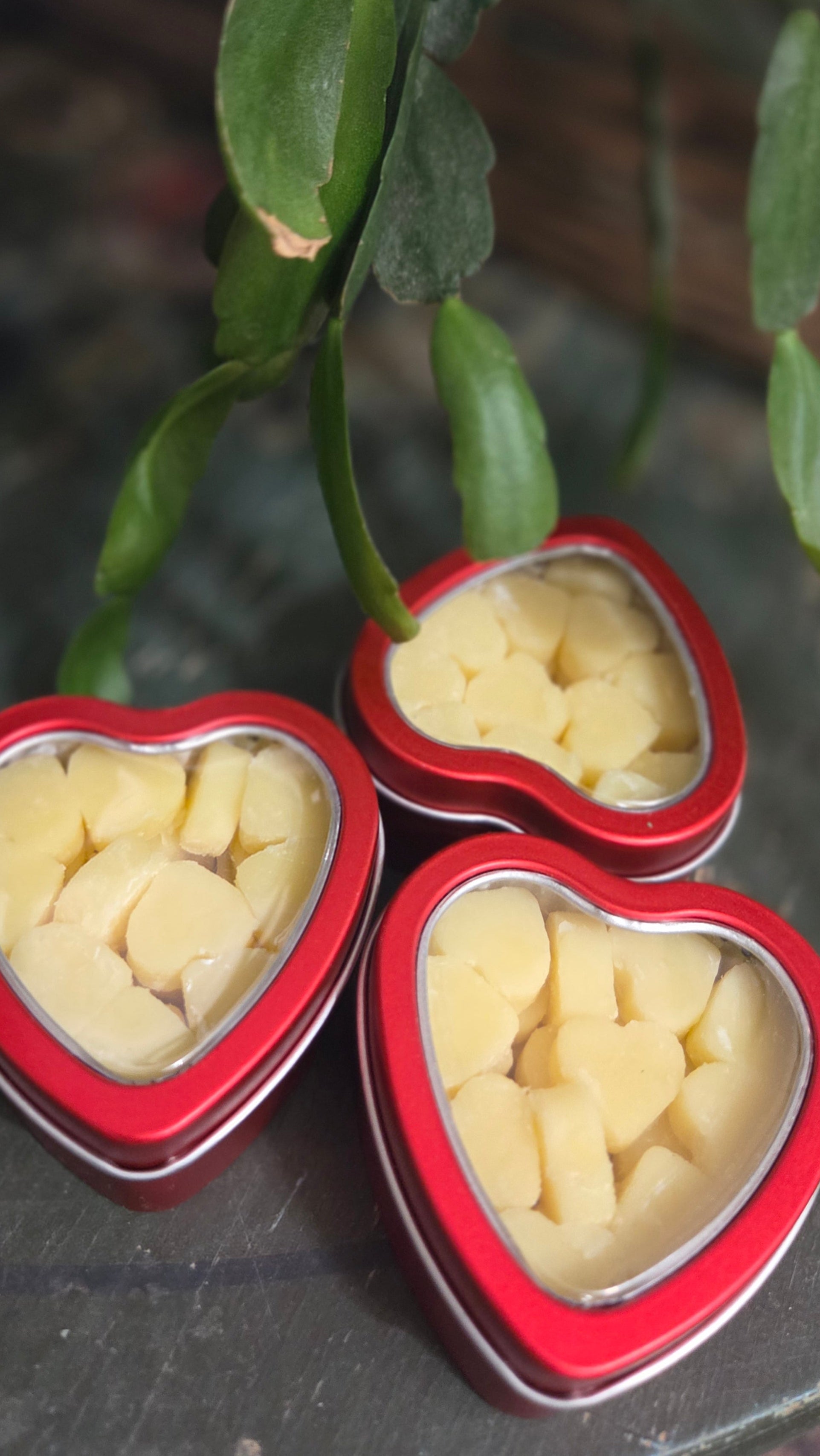 Tallow Hearts